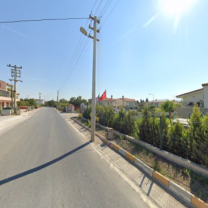 Fotoğraf 11
