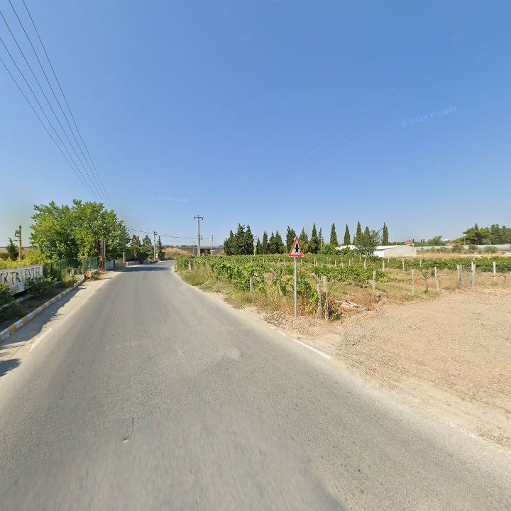 Fotoğraf 13