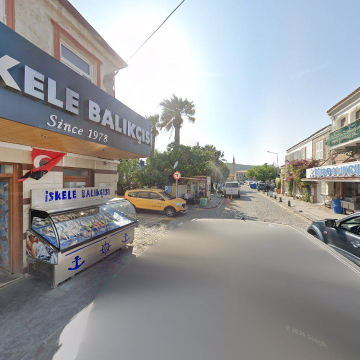 Fotoğraf 10