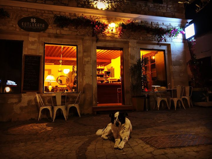 Fotoğraf 8