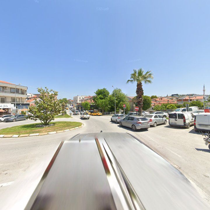 Fotoğraf 7