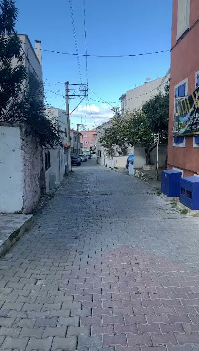Fotoğraf 3