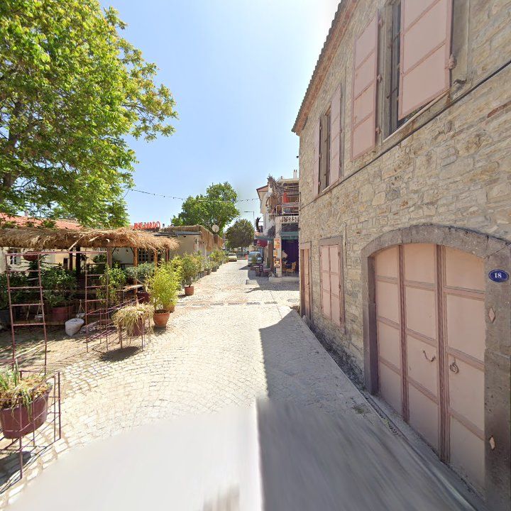 Fotoğraf 10