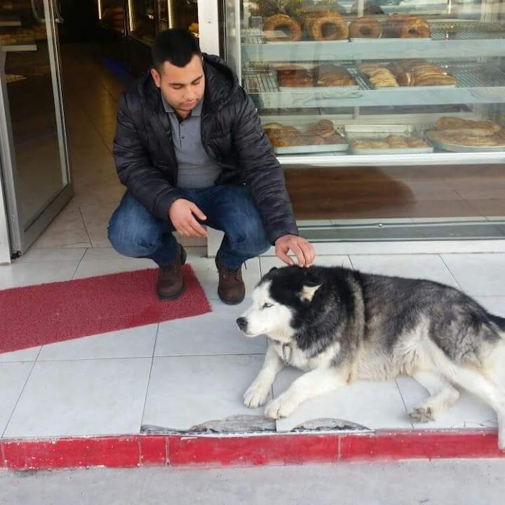 Fotoğraf 4