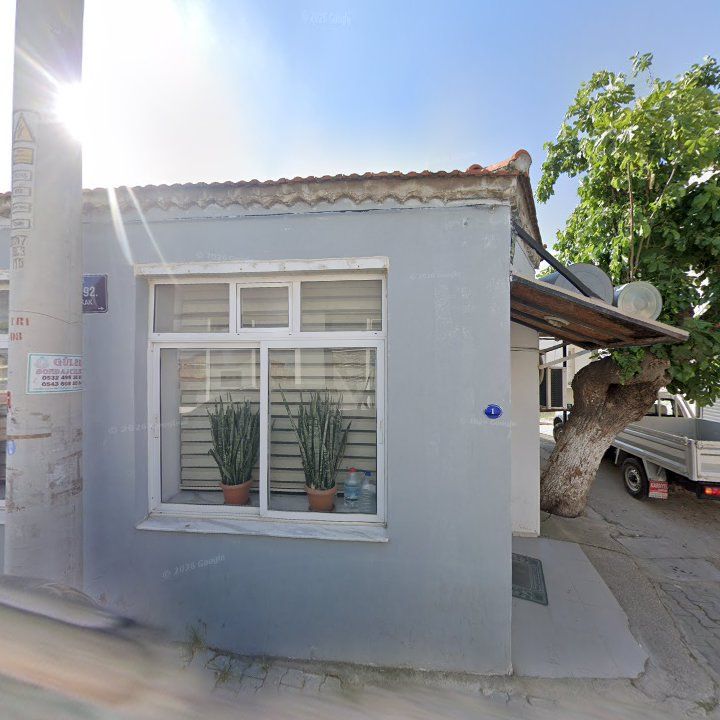 Fotoğraf 8