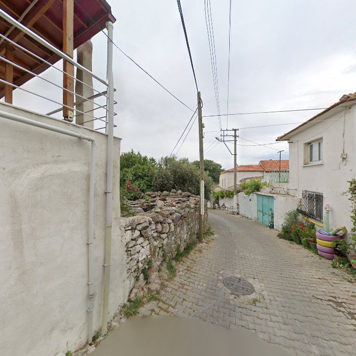 Fotoğraf 13