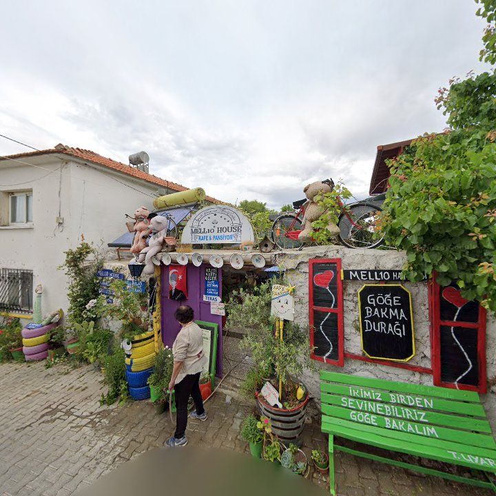 Fotoğraf 10