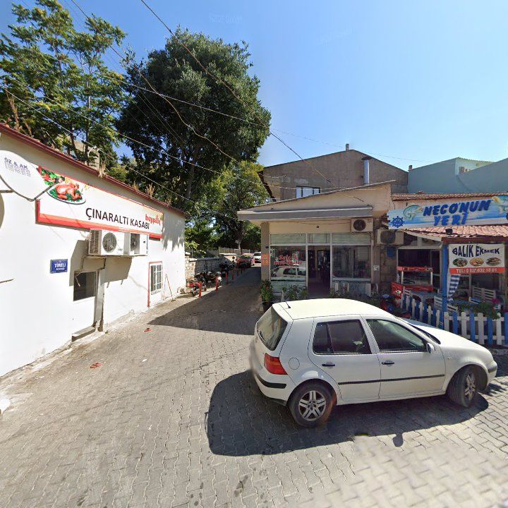Fotoğraf 7