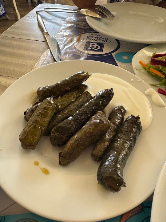 Fotoğraf 36