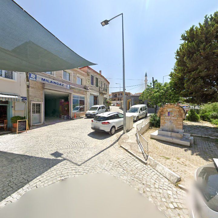 Fotoğraf 5