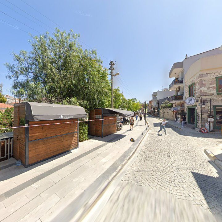Fotoğraf 11