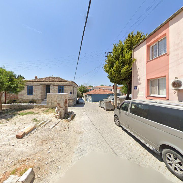 Fotoğraf 7