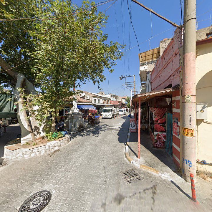 Fotoğraf 12