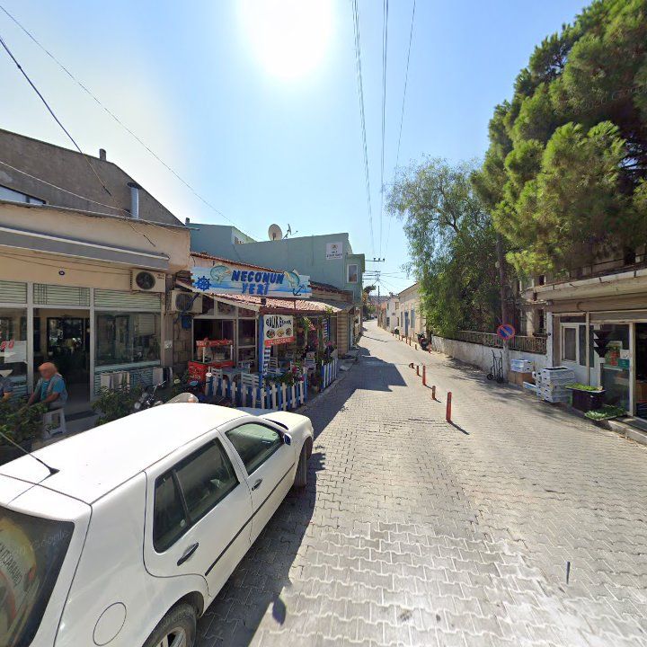 Fotoğraf 10