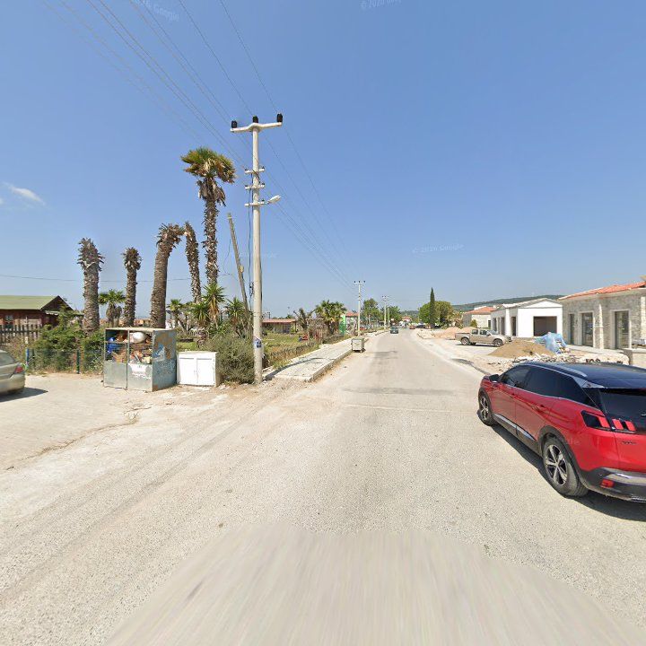 Fotoğraf 10
