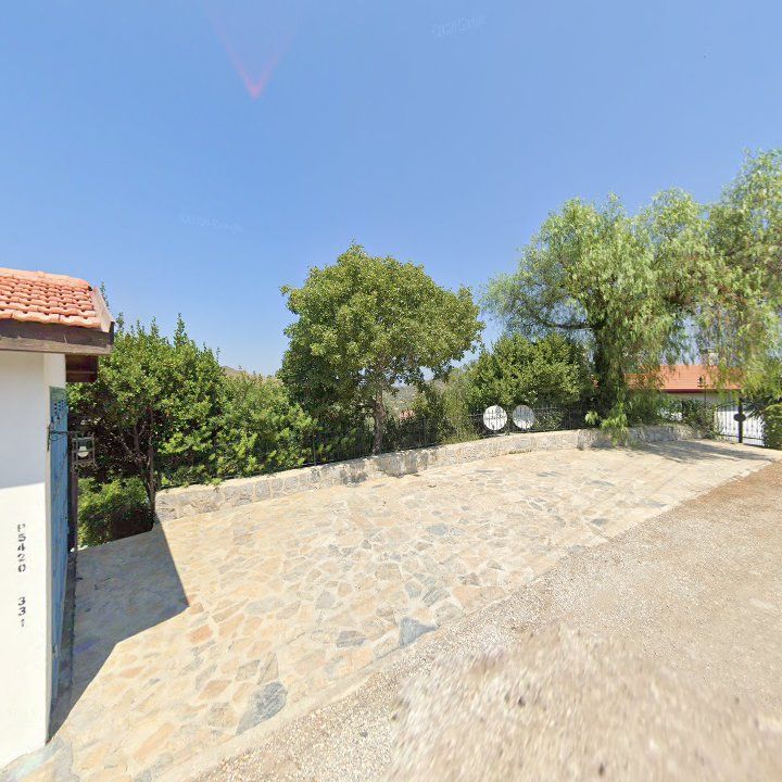 Fotoğraf 12
