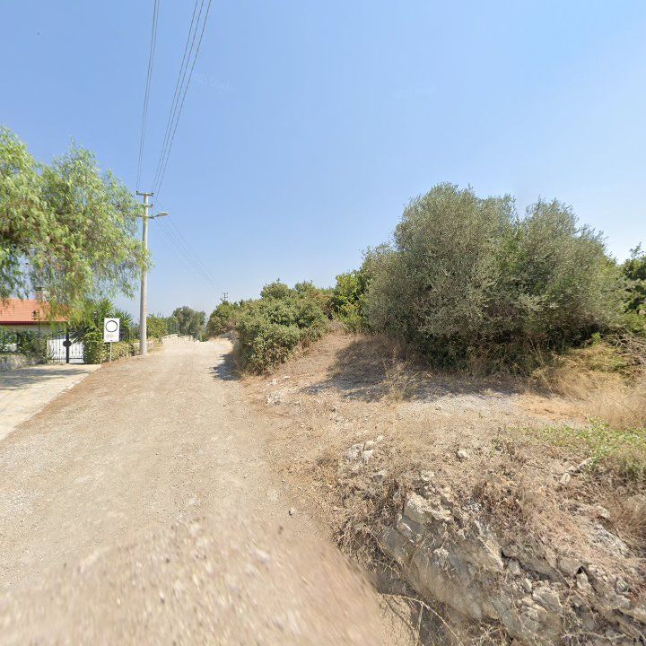 Fotoğraf 13