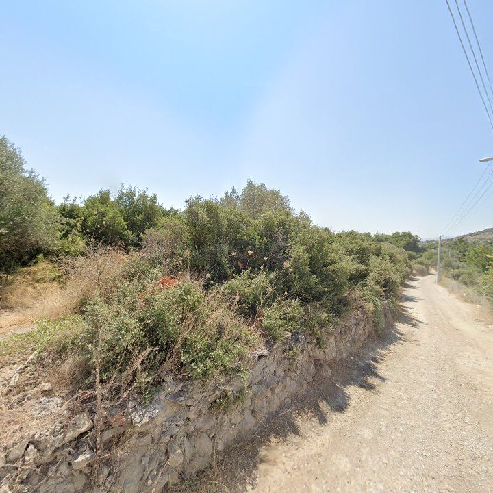 Fotoğraf 14