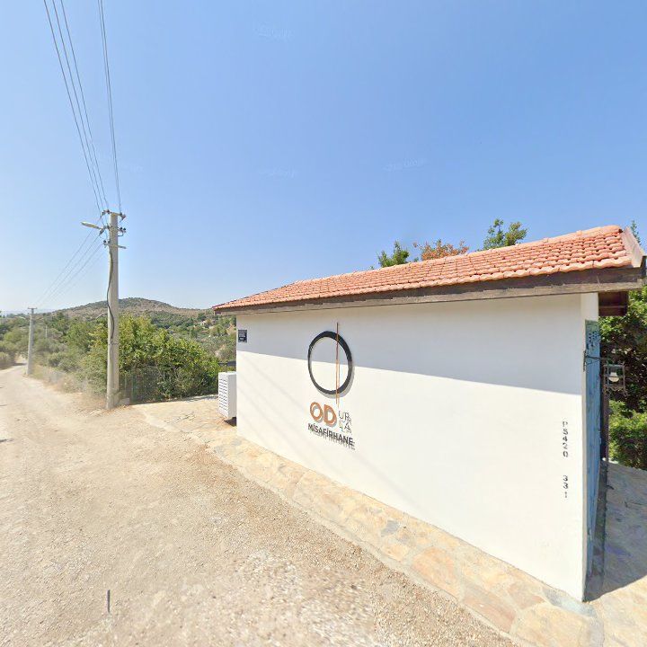 Fotoğraf 15
