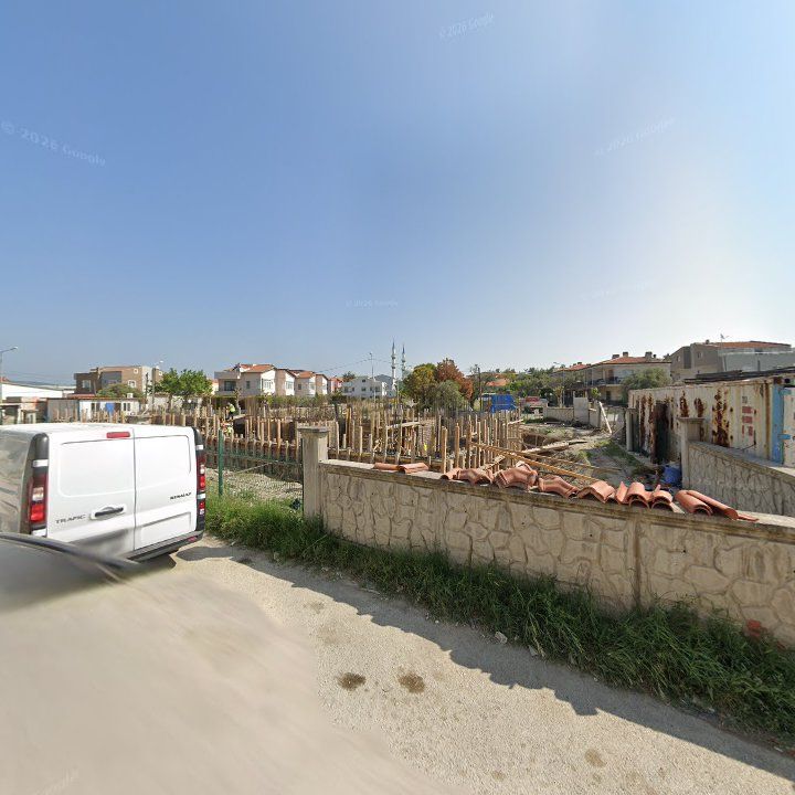 Fotoğraf 7