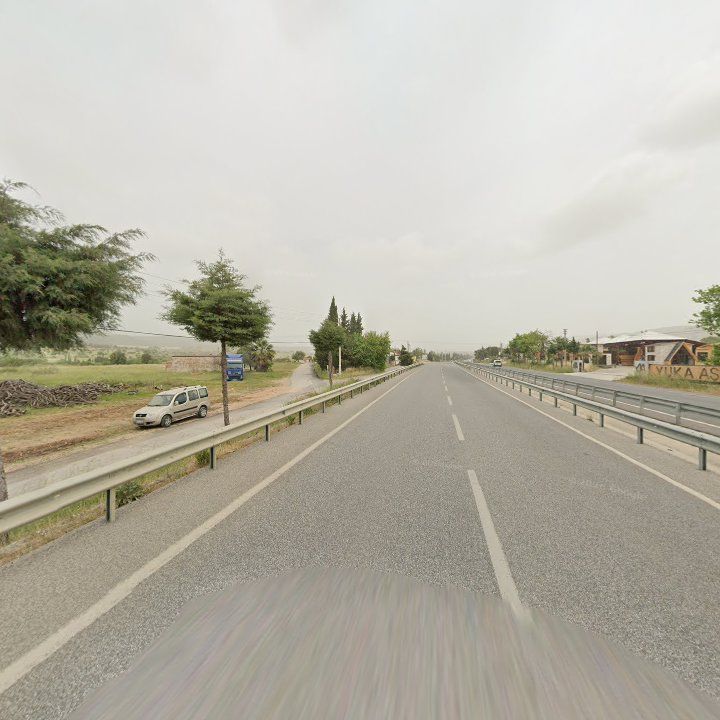Fotoğraf 7