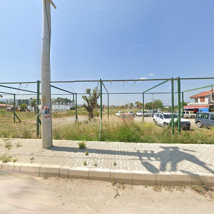 Fotoğraf 7