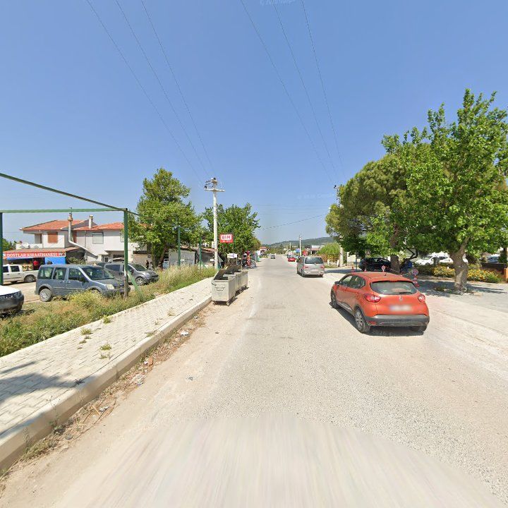 Fotoğraf 8