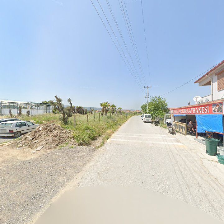 Fotoğraf 6