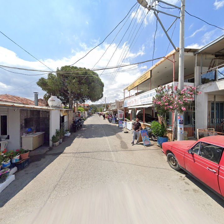 Fotoğraf 9