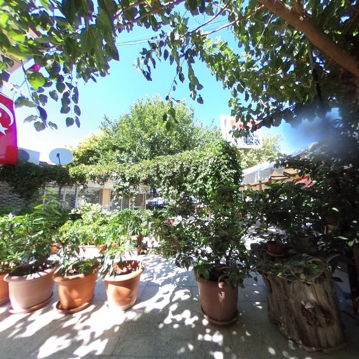 Fotoğraf 8