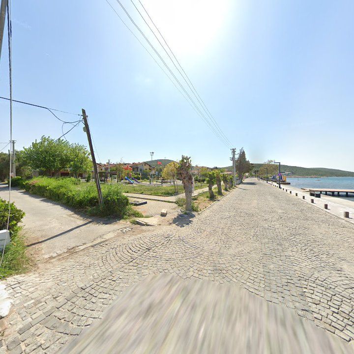 Fotoğraf 7