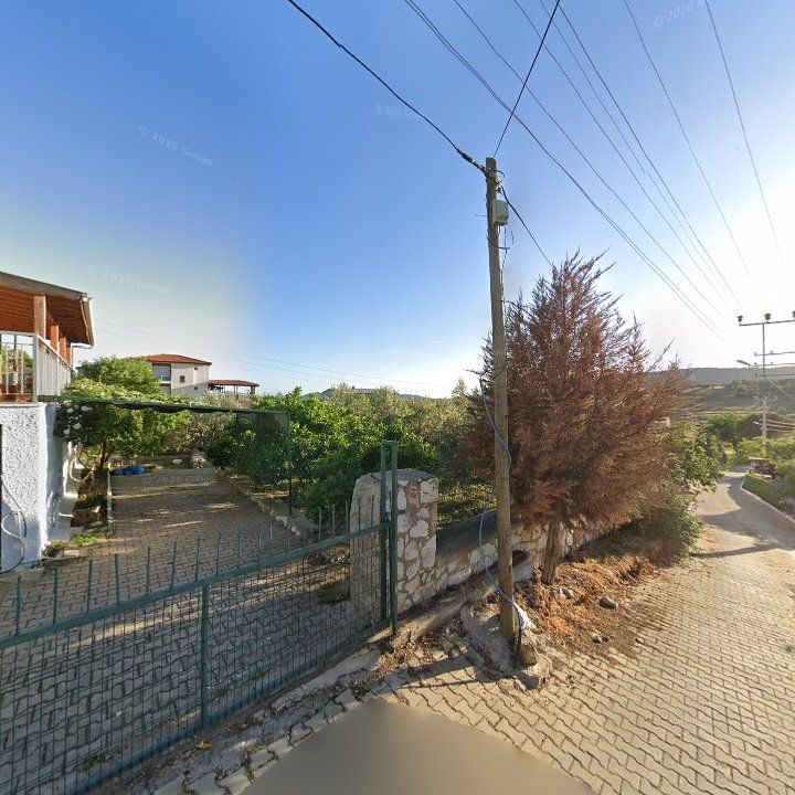 Fotoğraf 2