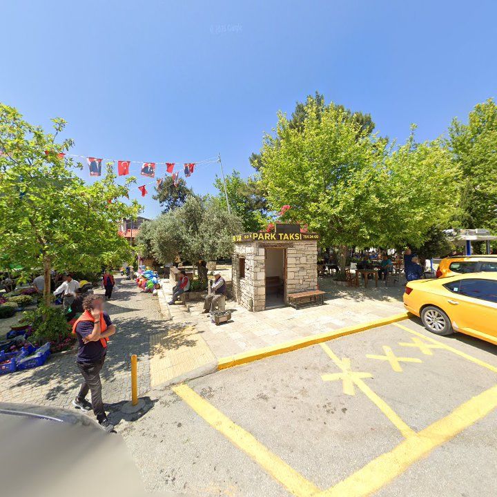 Fotoğraf 8