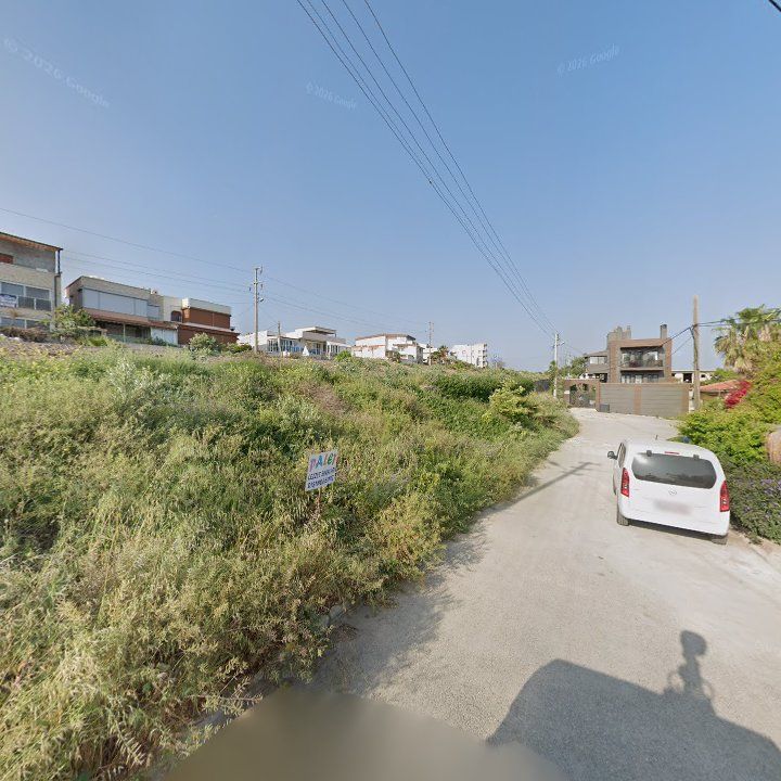 Fotoğraf 12