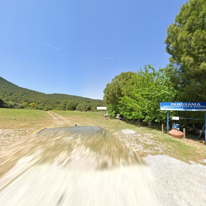 Fotoğraf 11