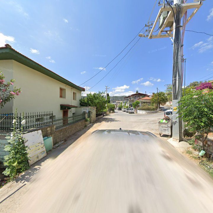 Fotoğraf 8