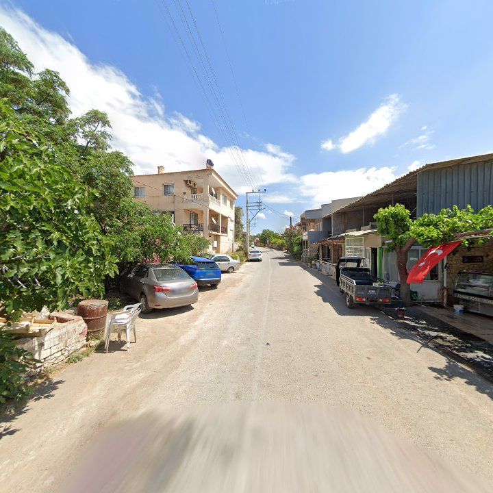 Fotoğraf 10
