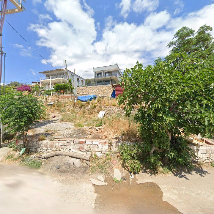 Fotoğraf 9