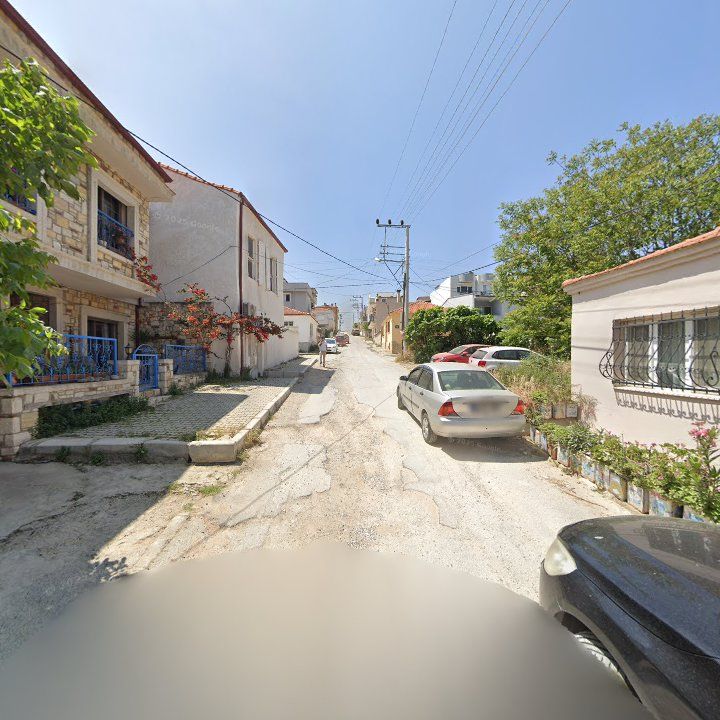 Fotoğraf 7