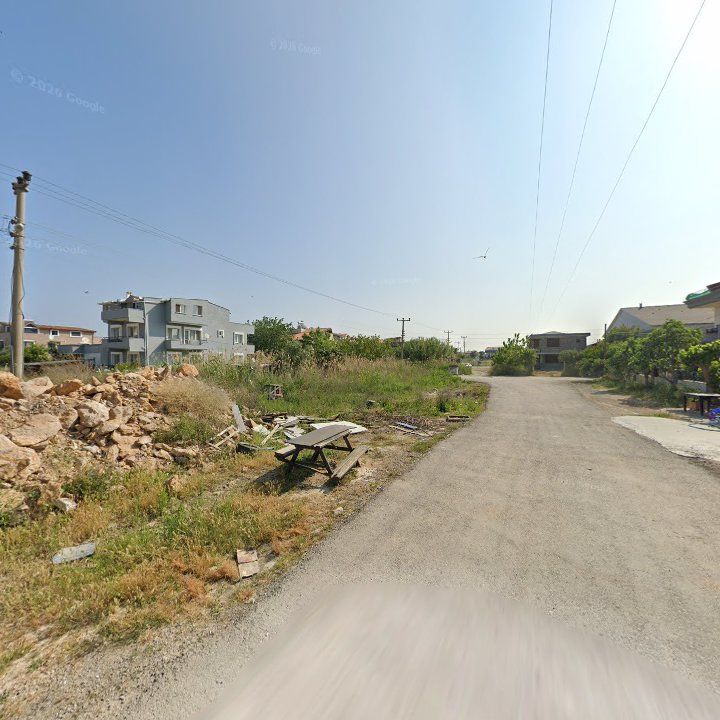 Fotoğraf 7