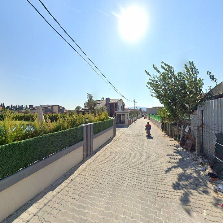 Fotoğraf 9