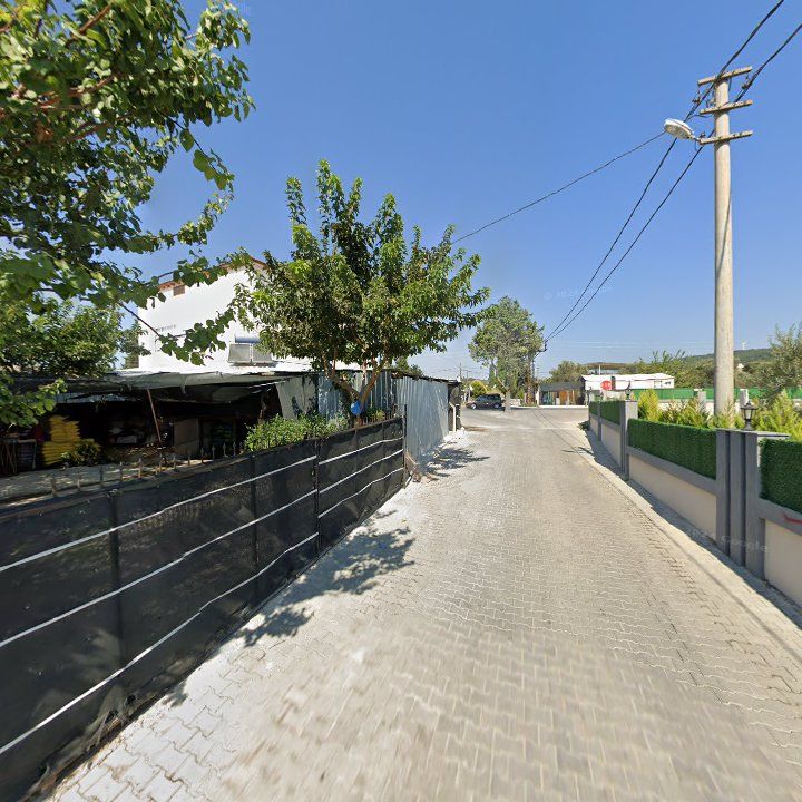 Fotoğraf 7