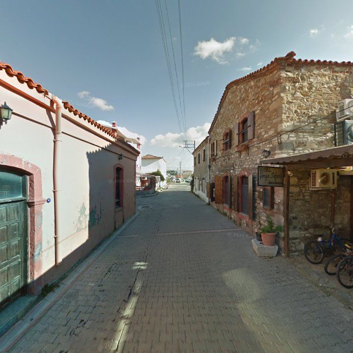 Fotoğraf 14