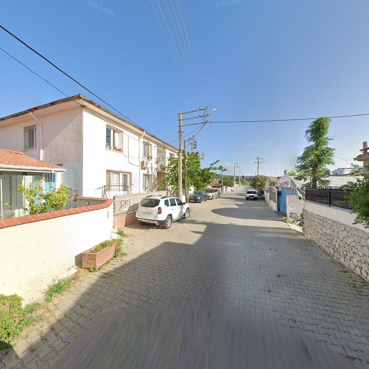 Fotoğraf 7