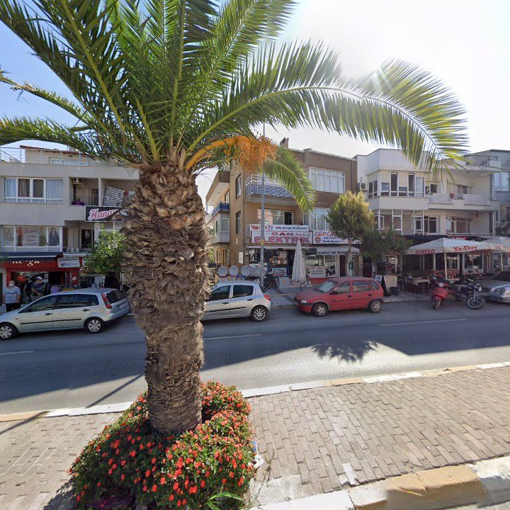 Fotoğraf 8