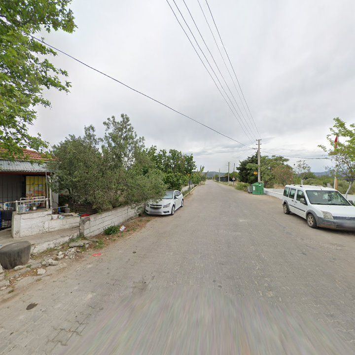 Fotoğraf 9