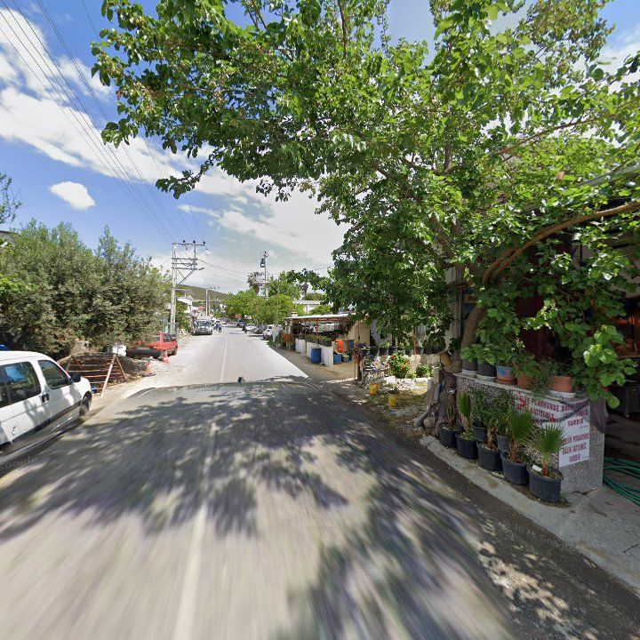 Fotoğraf 9