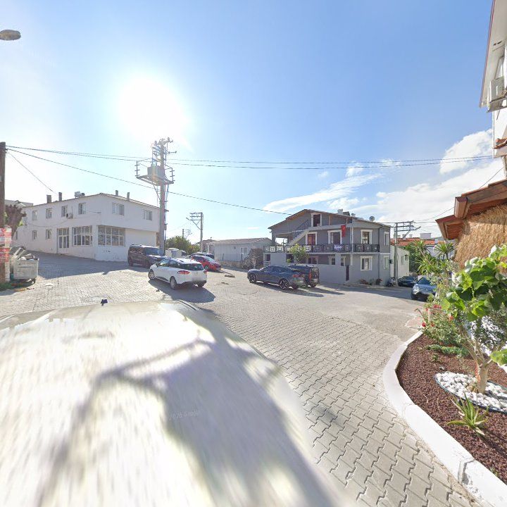 Fotoğraf 9