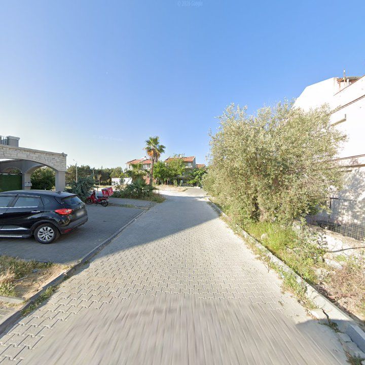 Fotoğraf 10