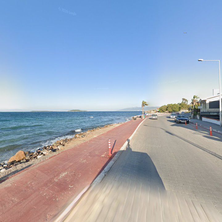 Fotoğraf 12